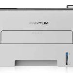 Pantum P3010D